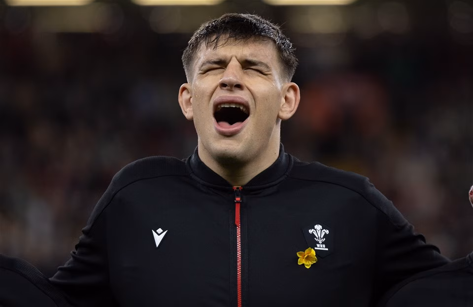 Dafydd Jenkins