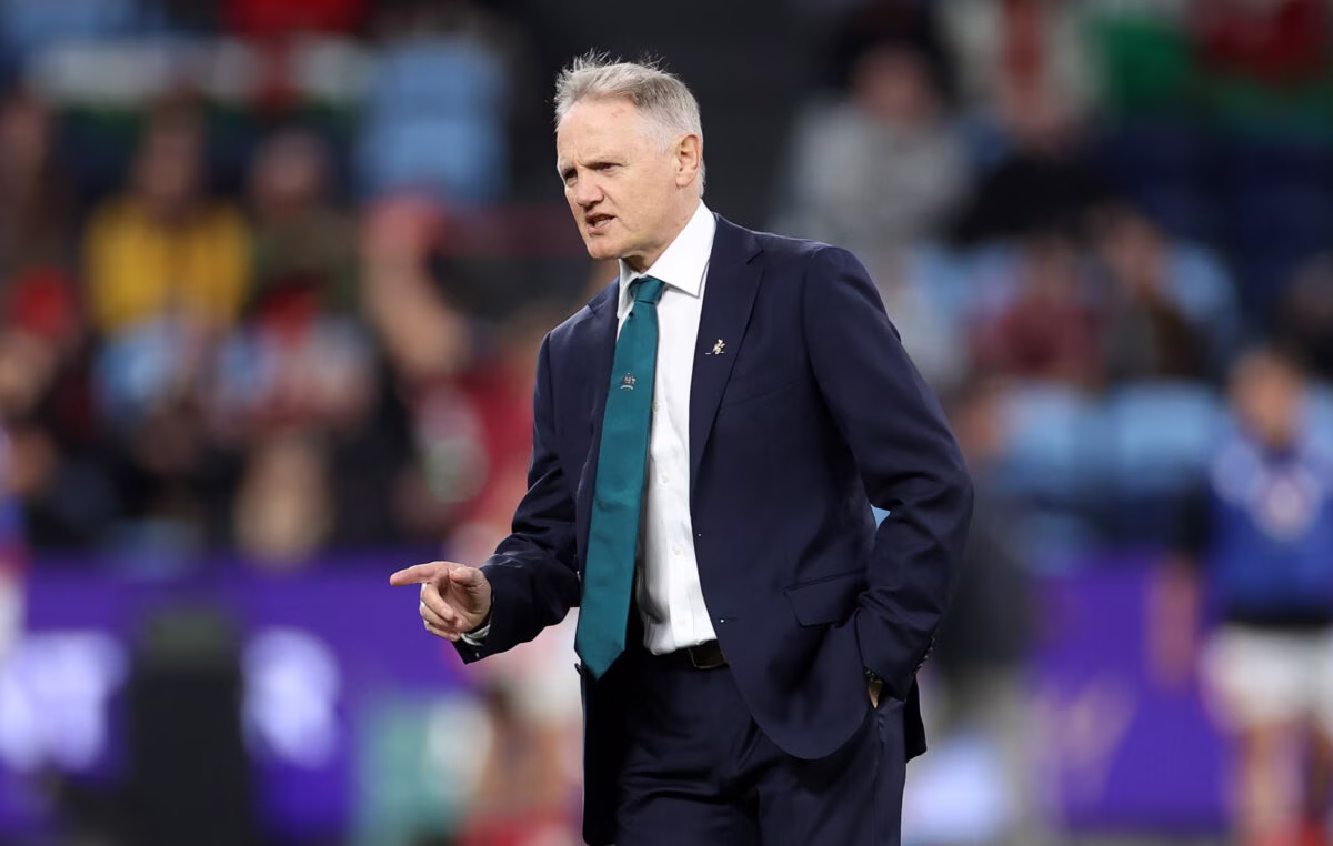 Joe Schmidt