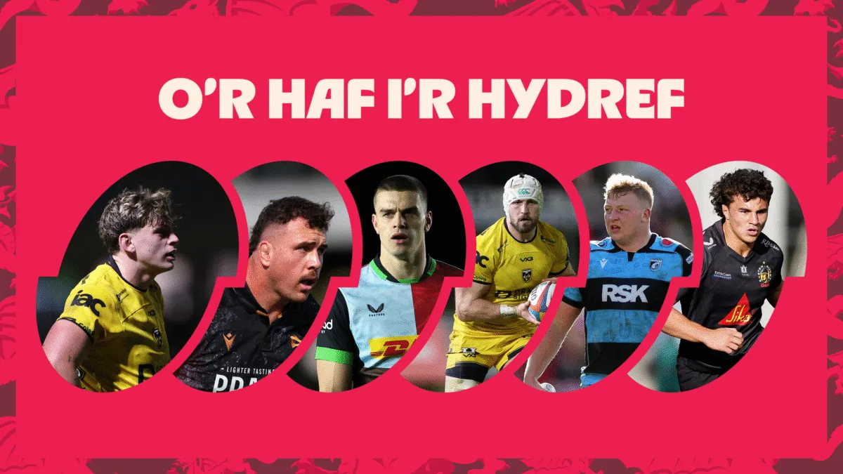 There are six uncapped players in the extended Wales squad this summer